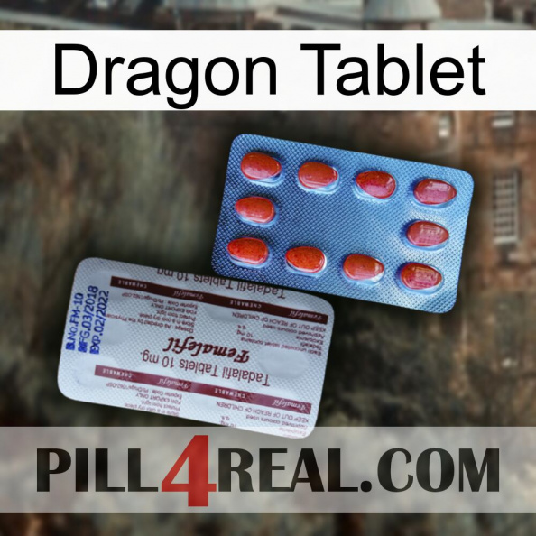 Dragon Tablet 36.jpg